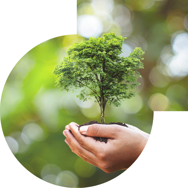 關懷人類、文化、環境與社會